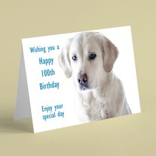 Labrador 100th birthday - ,