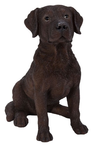 Vivid arts chocolate labrador - vivid,