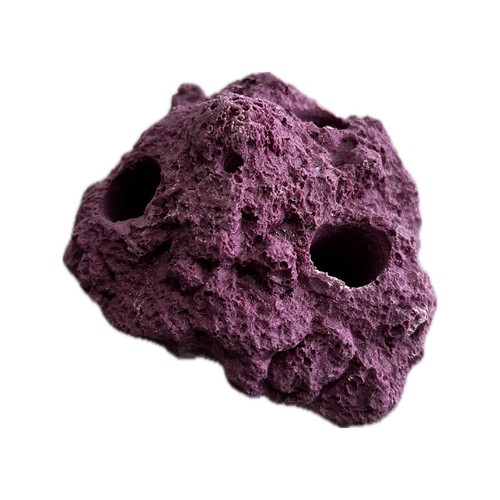 Sandbed hole coral - sandbed,