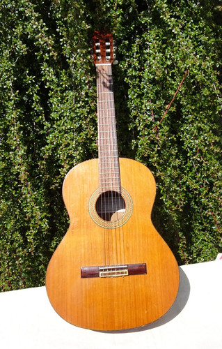 Guitar alhambra approx - guitar,