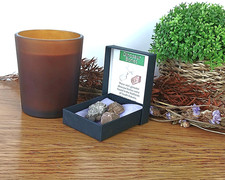 3 x 100% Genuine Dinosaur Bone Fossil in Presentation Box 25 x 20mm