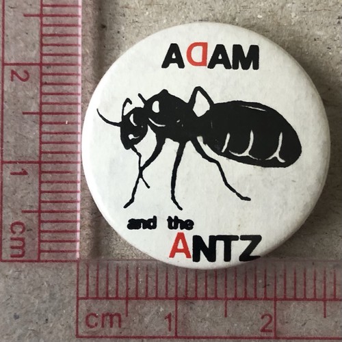 Vintage adam the - &, ants