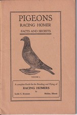 Pigeons Racing Homer Facts and