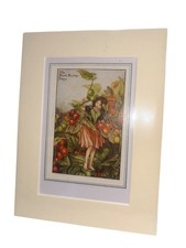 Vintage Flower Fairies & Mount