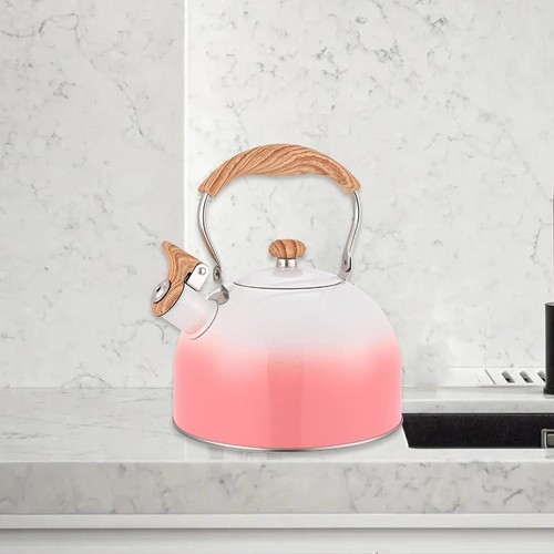 Whistling kettle outdoor - kettle,
