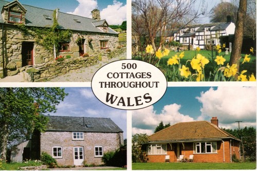 04697 postcard showing welsh - postcard,