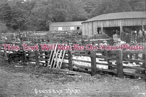 817 scots gap farmers - gap,