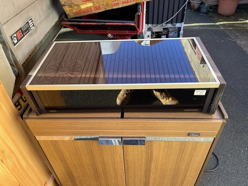 Salton hot tray food warmer - salton,