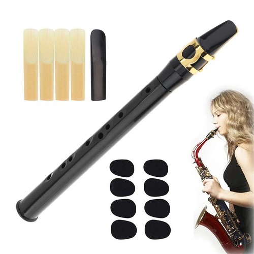Portable pocket saxophone - portable,