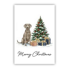 Weimaraner Dog Christmas Card