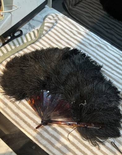 Vintage ostrich feather hand - vintage,