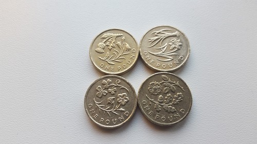 One pound rare british - £1,