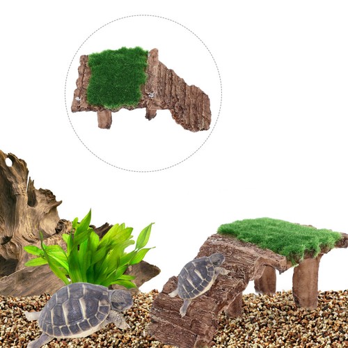 Tortoise cage dock - tortoise,