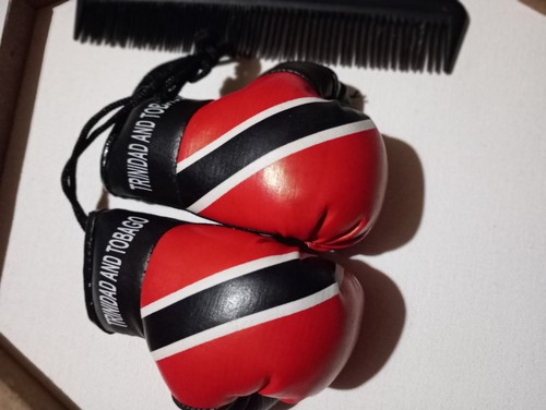 Trinidad mini boxing