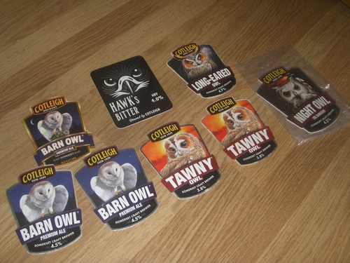 Cotleigh owls pump clips - owls,
