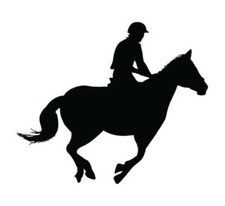 2 Horse with Rider Stickers