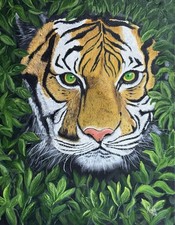 Tigers Face Emerging From A