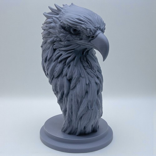 Majestic eagle head - head, bust