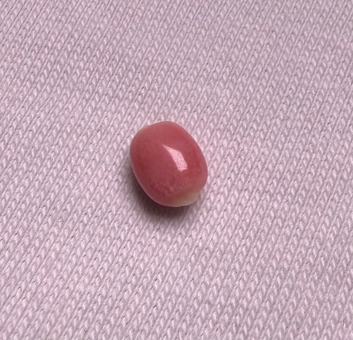 1ct queen natural conch - queen,