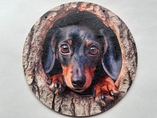 Dachshund Wall Plaque/Sign/