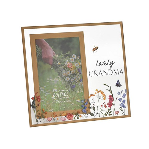 The cottage garden 4 - cottage, x