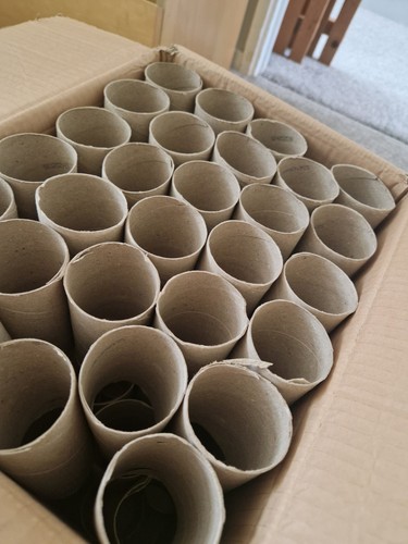 Empty cardboard toilet - 80,