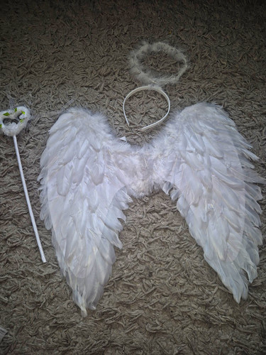 White feather angel wings with - angel,
