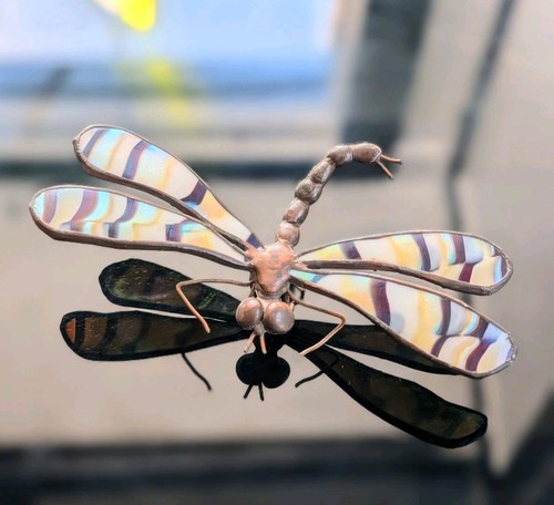 Rare orient flume dragonfly - orient, &