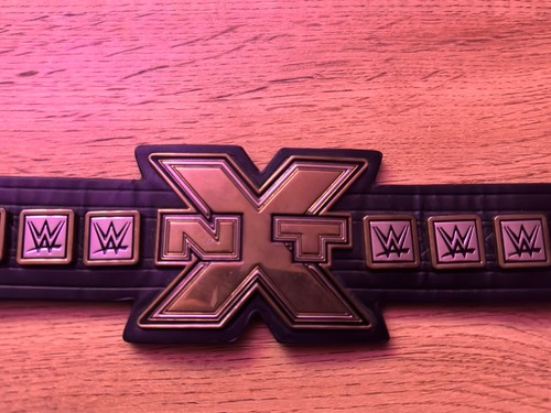 Wwe nxt mini title first - nxt,
