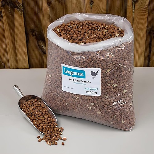 Peanuts for wild birds - peanuts,