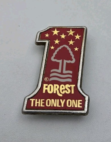 Nottingham forest the only one - nottingham,
