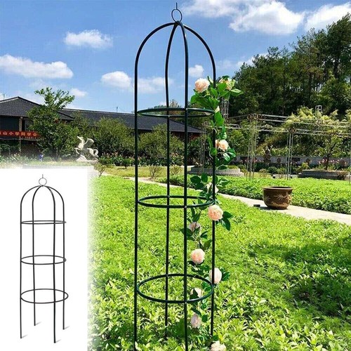 Plant support garden - plant,