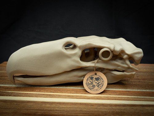 Printed terror bird skull - 3d,
