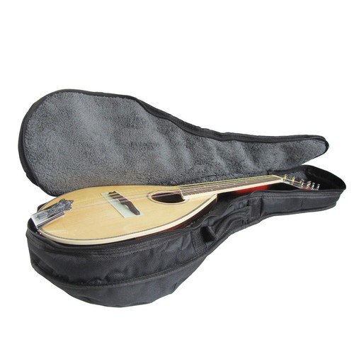 Wear resistant mandolin - mandolin, bag