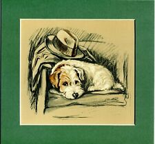 Lucy Dawson ~ Sealyham Terrier