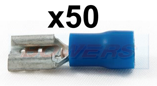Blue female spade lucar - spade,