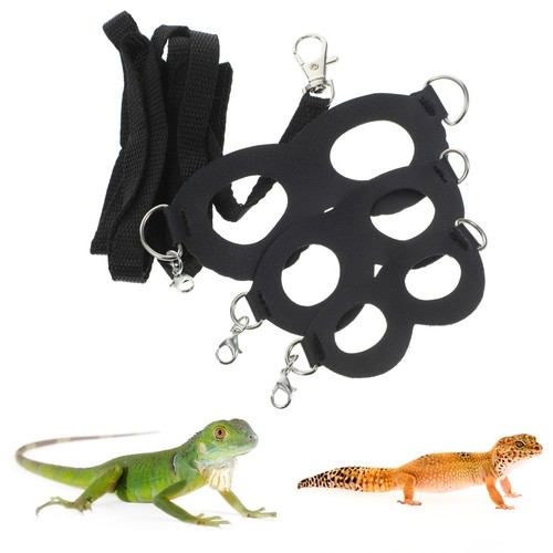 Bearded dragon decor lizard - bearded,