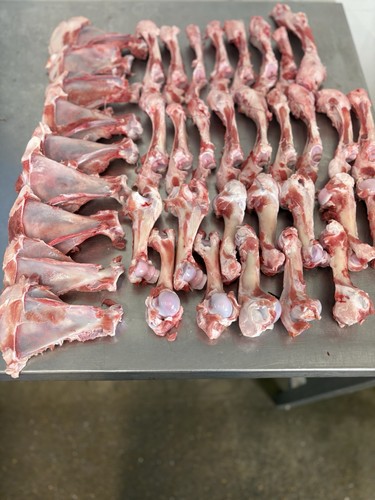 Raw dog bones meaty - raw,