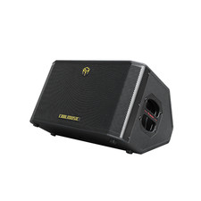 300w Powered Battery Acoustic