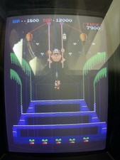 Nintendo Donkey Kong 3 Arcade