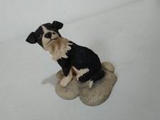 Dog ornament, border collie puppy, Border Fine Arts "Gyp"