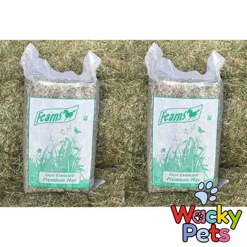 Timothy rye grass hay fearns - timothy,