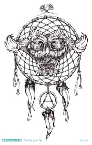 Owl dreamcatcher lion - lion, king