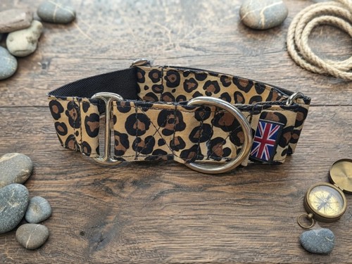 Martingale dog collar with - collar,