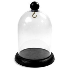 Pocket Watch Display Dome