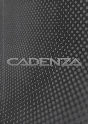 2018 2019 kia cadenza - 2018/2019,