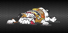 Guido the dog decal MotoGP, Valentino Rossi,Yamaha YZR-M1, The Doctor