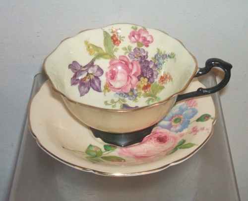 Paragon cabbage rose - paragon, floral