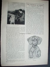1901 interview CECIL ALDIN artist and his dogs : magazine article zx