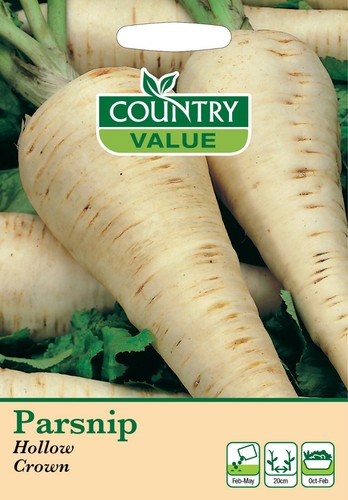 Parsnip seeds hollow crown - parsnip, crown'